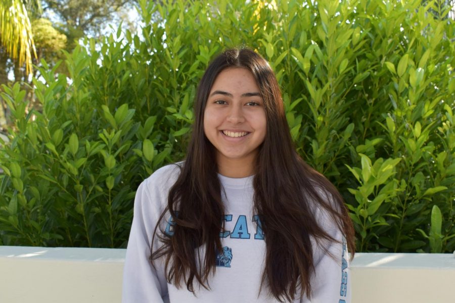 Sophomore Isabella Baquerizo contemplates the hazards of social media on teenagers.