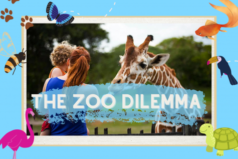 Are zoos helpful or harmful? Junior Jennifer Hoover and Sophomore Giselle Urbina debate whether zoos are still relevant.