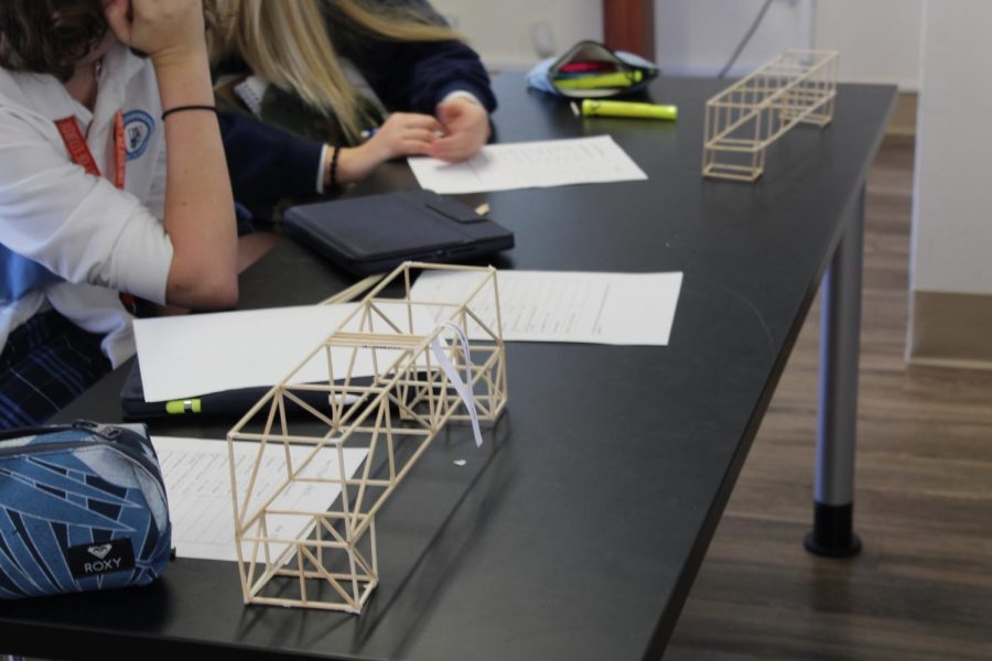 The bridges had certain requirements but allowed students to show off their creativity as no two bridges were the same. I think it was creative, it was cool to see the different designs and the different ways people chose to build it, senior Emilie Gonzalez said.