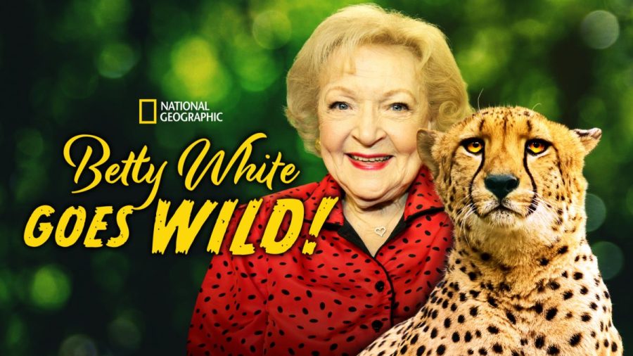 To showcase her love for big cats, Betty premiered her show Betty White Goes Wild!. Viewers can now stream a Disney+ special of the show. 