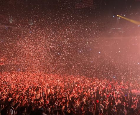 A crowd of fans jumping, and singing in a mosh pit along with red confetti. 