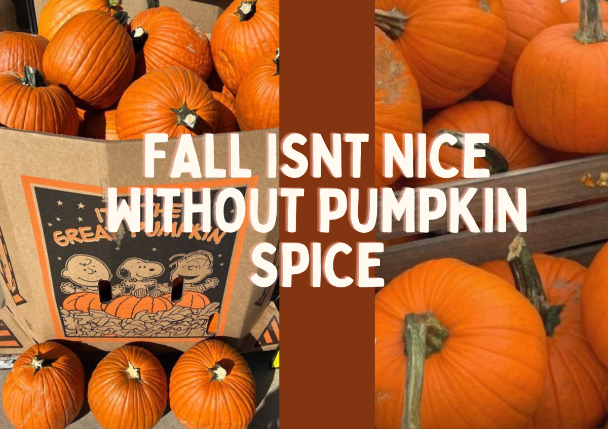 Fall+Isnt+Nice+Without+Pumpkin+Spice