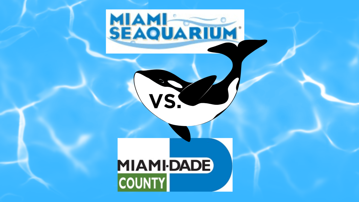 Miami-Dade County wants to end it’s lease with Miami Seaquarium following report from USDA.