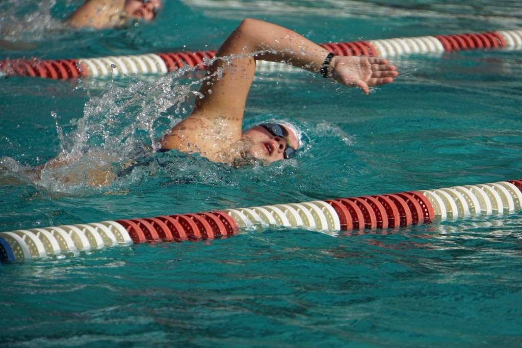 Swim Team Dives into New Season with Fresh Energy and Senior Leadership